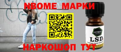 стаф Котовск