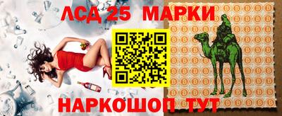 скорость Кохма