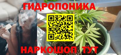 прущие грибы Красноармейск