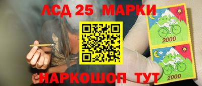 прущие грибы Красноармейск