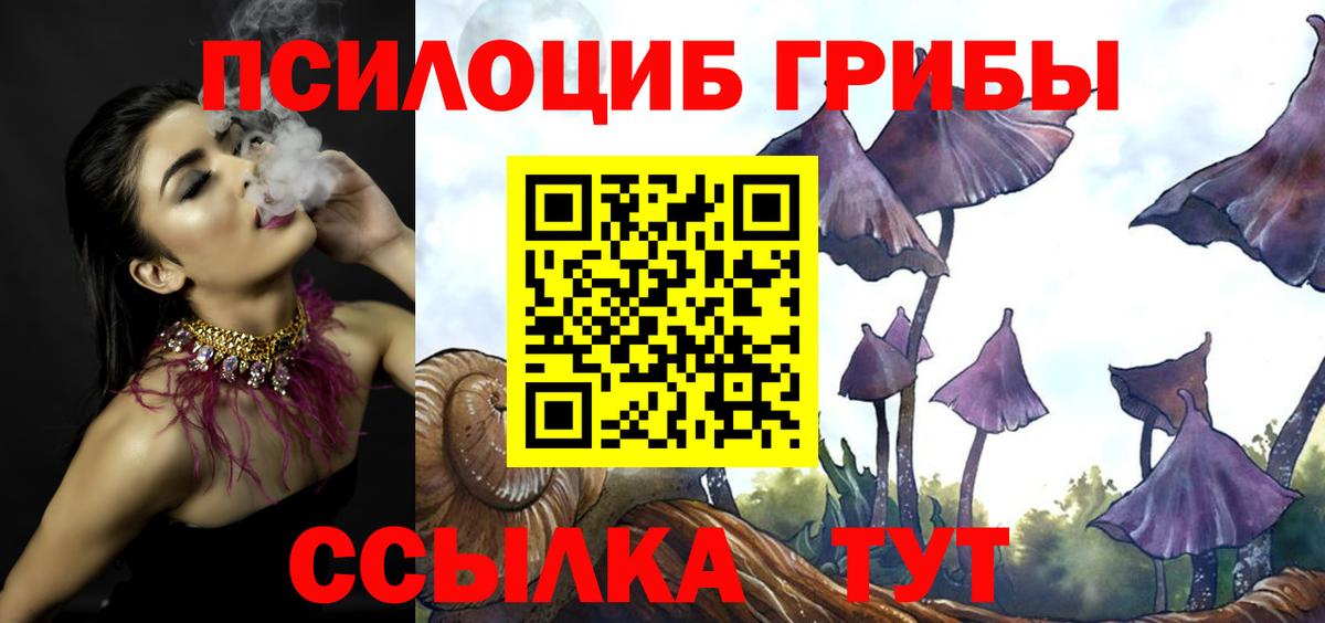 Псилоцибиновые грибы Psilocybe  Вход с VPN  Дзержинск 